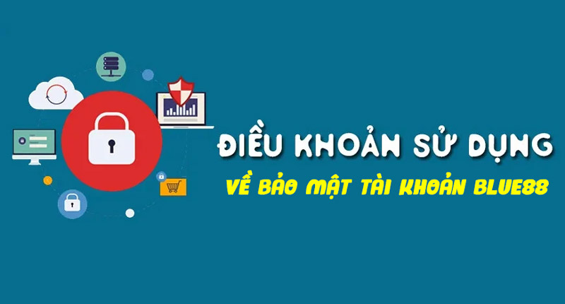 Điều khoản sử dụng liên quan đến bảo mật thông tin và giao dịch tại Blue88