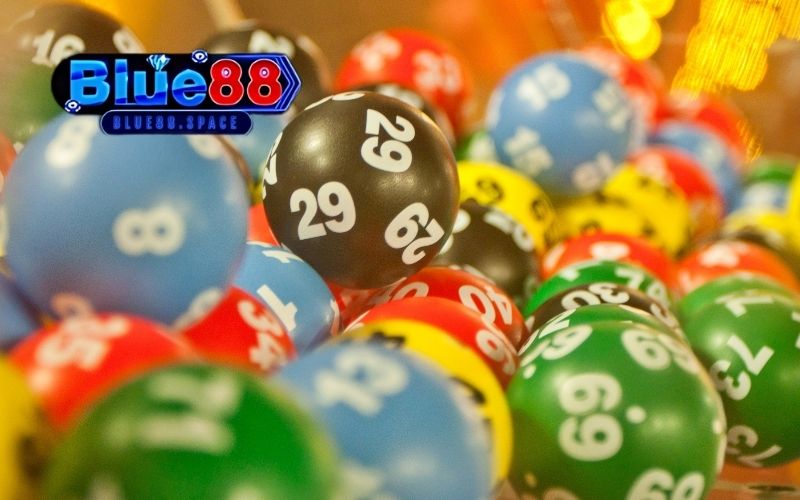 Tam thủ lô: Rủi ro và lợi ích của việc chơi tam thủ 4 Tam thủ lô